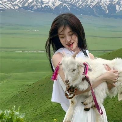 不死者之王剧场版圣王国篇